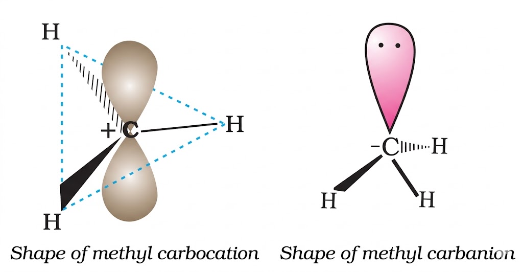 Carbocation and Carbanion Shapes